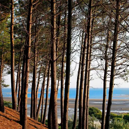 Apartman T2 Au Centre D'arcachon Avec Garage - A Proximite De La Et Des Commerces - Fr-1-420-88